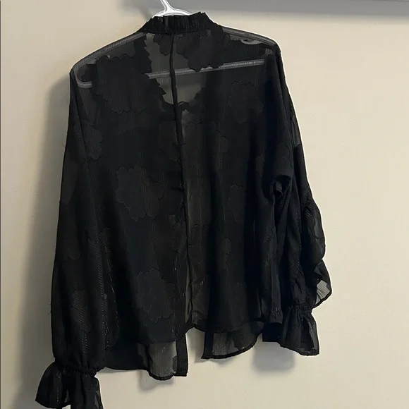 Chic Black Ruffle Sheer Blouse - Picture 5 of 5